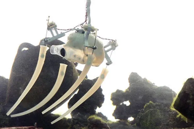 أخطبوط روبوتي لعمليات الإصلاح والترميم تحت الماء