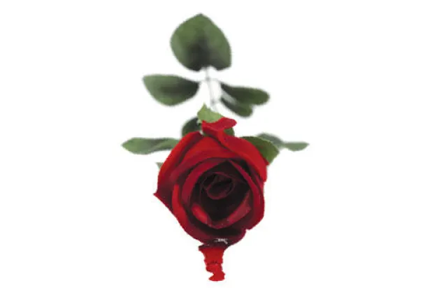 رفيف الظل: في غيِّها، أمُمُ الحَجَر