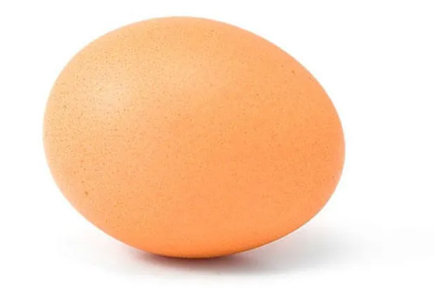 البيض.. هل هو مضر أم مفيد للصحة؟