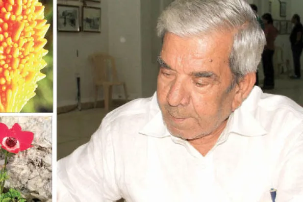 نباتات لبنان في موسوعة جديدة.. مع حقائق وصور