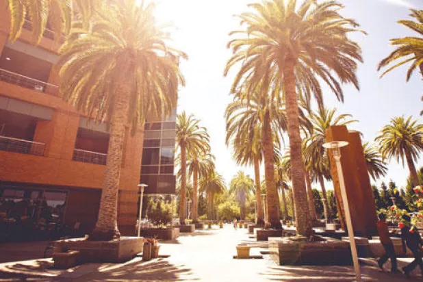 المهاجرون رقم اقتصادي كبير في وادي السيليكون الأميركي