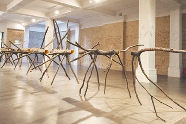 الإيطالي غوسيبي بينون والكشف عن قلب الطبيعة في متحف غرونوبل