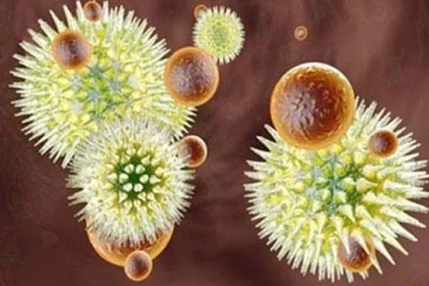 خبراء: «إيبولا» كان يمكن احتواؤه وتقارير تراجع المرض ضللتنا