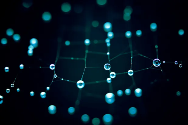 مكافحة سموم النباتات.. بالبكتيريا