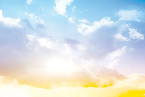 رفيف الظل: منْ أتى يا ليل بهذا الحكيم؟