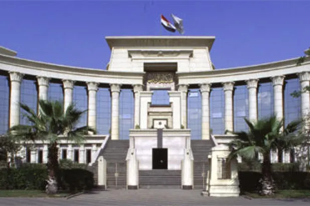 الدستورية.. دفة السياسة