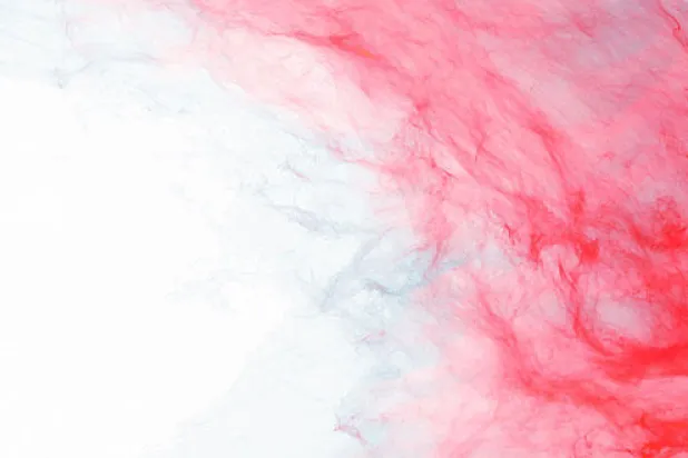 نحنُ الذين تَسلقنا  اسمكِ ولم نسقُط