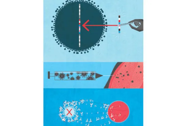 وقاية.. من دون لقاح