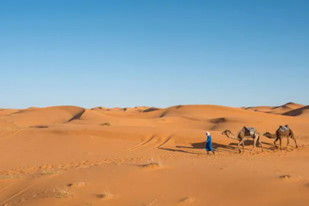 المغرب.. من الساحل إلى الصحراء