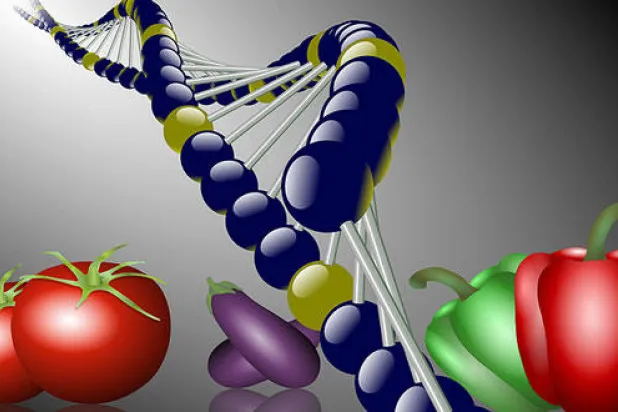 توجهات أميركية لاستبعاد العناصر المعدلة وراثيًا من الغذاء