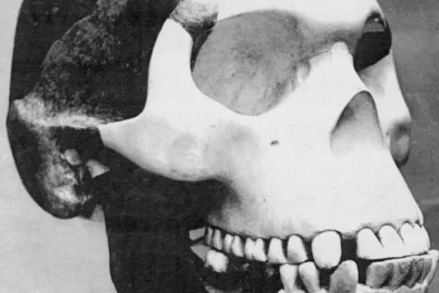 5 من أشهر عمليات الخداع العلمي