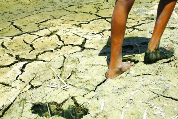 بعد تحكم «داعش» بالفرات.. دجلة يفاقم مشكلة أهوار العراق