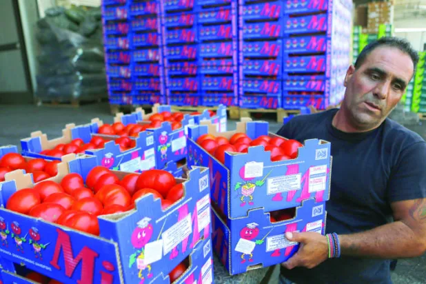 تجار اليونان يخشون المستقبل وفقدان طريقة حياتهم التقليدية