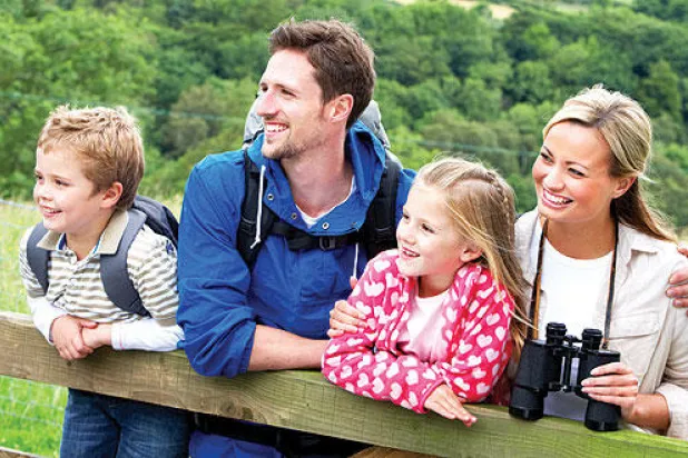 المشي وسط الطبيعة.. يغير من طريقة عمل المخ