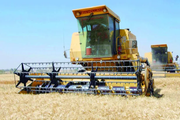 مؤشر «الفاو» يكشف تراجع أسعار الغذاء عالميًا وعدم تجاوب السوق السعودية