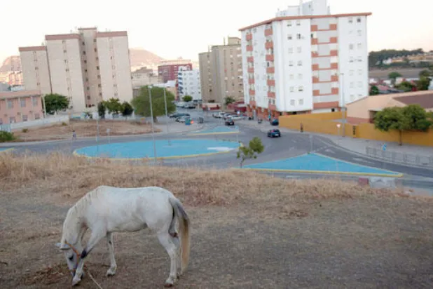 الخزاني مهاجم القطار الأوروبي.. من عالم الإجرام والمخدرات إلى قلب التطرف