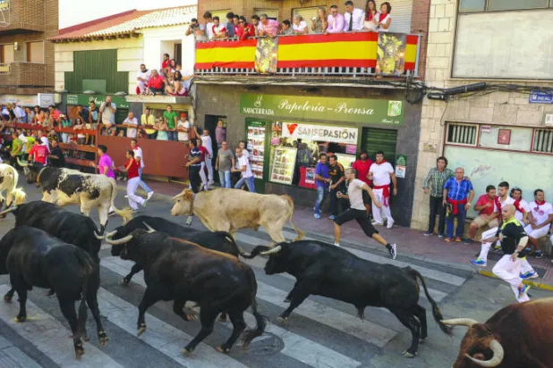 الشارع الإسباني منقسم حول احتفالات إطلاق الثيران السنوية