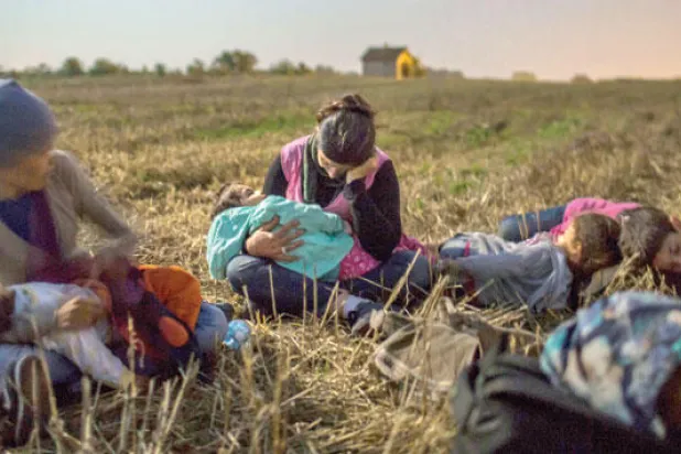 رحلة عائلة سورية من بساتين الزيتون إلى المجهول