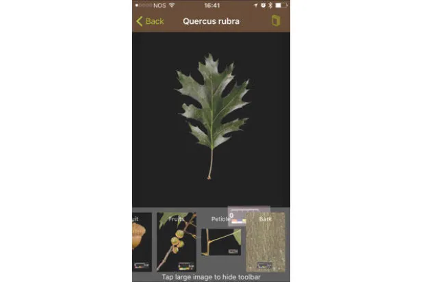 تطبيقات هاتفية.. لفصل الخريف