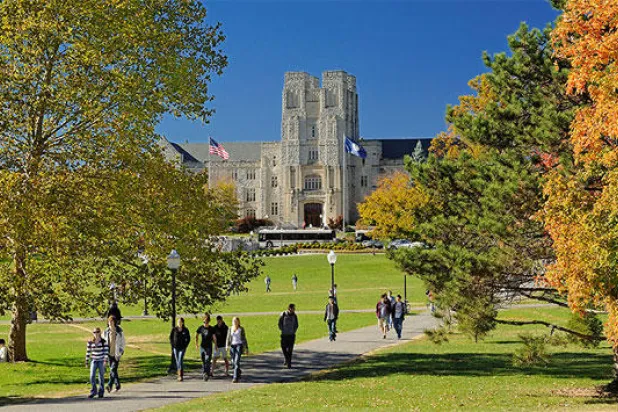 واجب مدرسي في الخط العربي يغلق مدارس فرجينيا