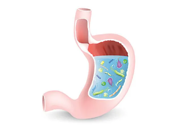 تعايش الإنسان مع الجراثيم.. فوائد عظمى وأخطار كبيرة