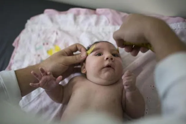 فيروس «زيكا».. سباق مع الزمن لإنتاج لقاح مضاد والبرازيل تحاربه بمائتي ألف جندي