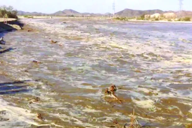 وَالنّخْل عند الماء يقتلها الظمأ.. «بيشة» مثالاً