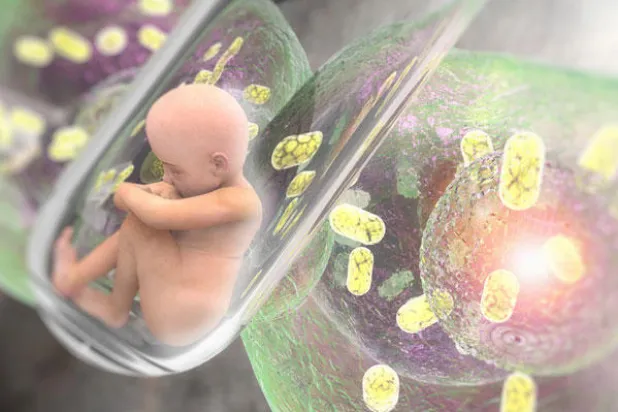 بعد 20 عامًا على ميلاد النعجة «دولّي».. هل اقترب عصر استنساخ البشر؟