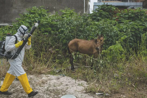 «زيكا» يشكل اكبر تهديد للاقتصاد البرازيلي