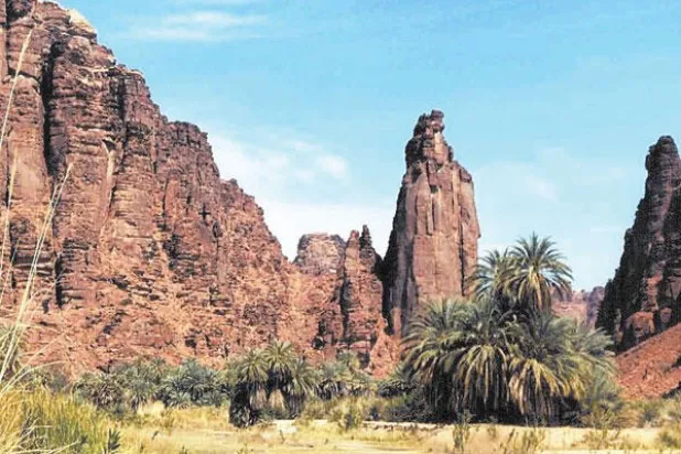 حاضر يعانق التاريخ