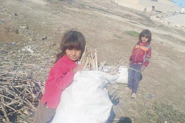 طفلتان في الفلوجة تجمعان الحطب لإشعال موقد في ظل غياب أي تحرك دولي للكارثة الإنسانية  («الشرق الأوسط»)