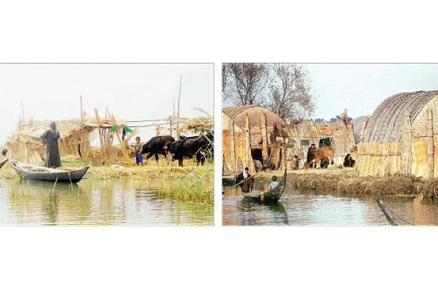 الأهوار العراقية.. حكاية حضارة تنتظر إنعاشها
