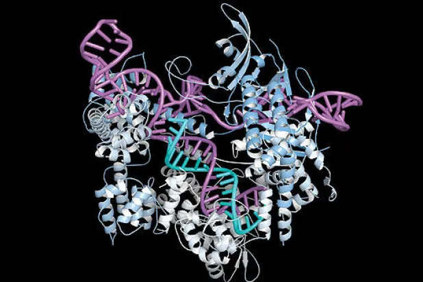 لأول مرة في أميركا: المصادقة على تجارب لتقنية قص الجينات على البشر