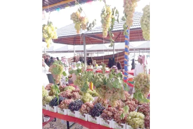 «البناتي» ينافس «الحلواني» في مهرجان عنب سعودي