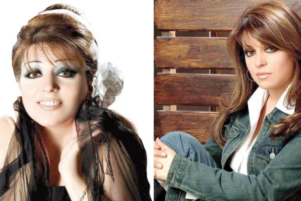 ريم عبد العزيز: مسلسل «باب الحارة» مثل «مورفين العصر»