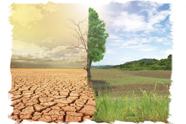 يوناس هانس وإعادة تعريف مفهوم المسؤولية