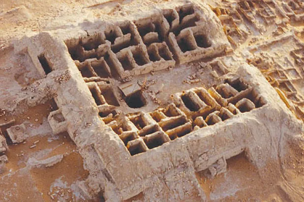 محاربة الثقافة في عقر آثارها