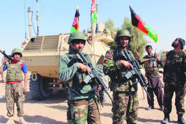 عودة المخدرات في أفغانستان مع تزايد قوة طالبان