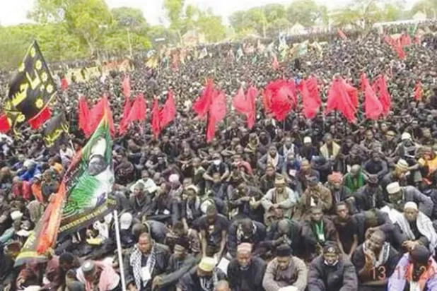 «حزب الله النيجيري» ميليشيا مسلحة تواجه الفشل