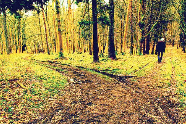 قلق المسافة والطريق الذي لم أختر