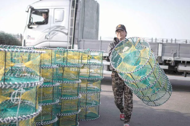 كوريا الجنوبية... طلب محلي قوي وفائض تجاري مستمر