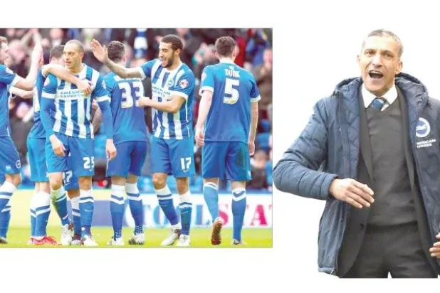 هوتون «ربان» سفينة برايتون يقود النادي للدوري الممتاز