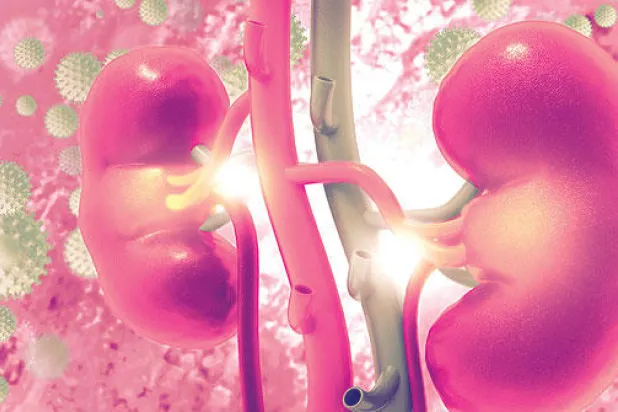 أفكار جديدة حول علاج التهابات المسالك البولية