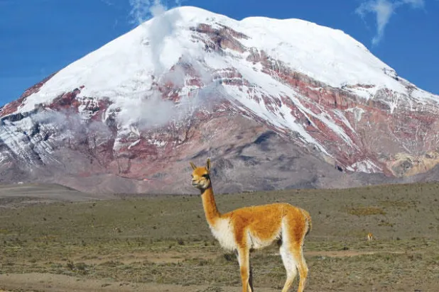 تسلق قمة جبل شيمبورازو بالإكوادور... الأقرب إلى الشمس