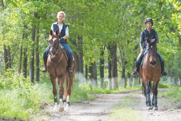 «مسك التل»... نص ينتهي بما يشبه الكابوس
