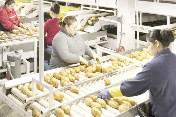 إذا كانت العمالة نادرة... فهل المهم العمل أم الأجور؟