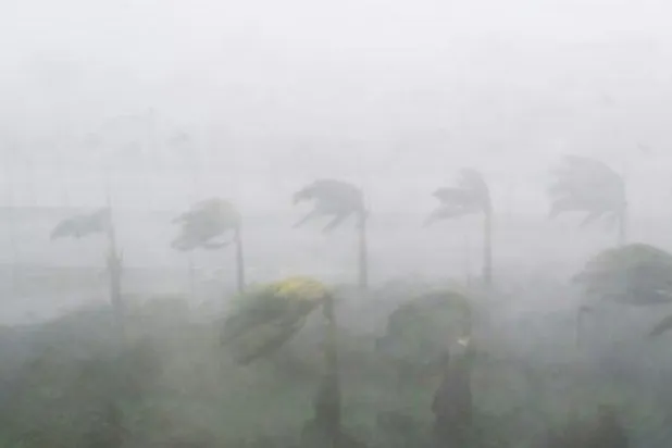 الإعصاران «إيرما» و«هارفي» بالأرقام