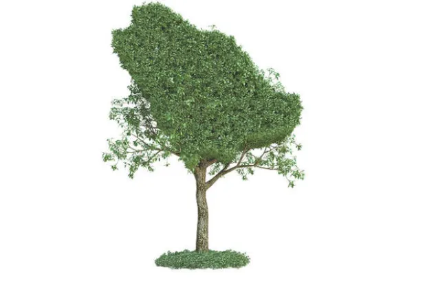 سعود بن هذلول... مؤرخ آل سعود