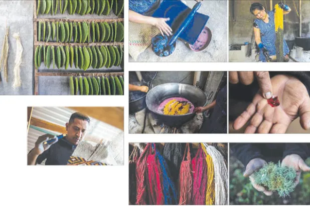 في المكسيك... النساجون يفضلون البدائل الطبيعية على الأصباغ السامة