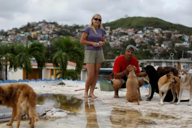رجل وزوجته يتحديان الإعصار ماريا لإنقاذ 7 كلاب و8 قطط